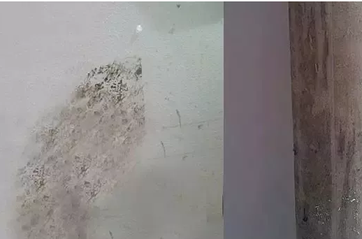 不锈钢保护胶膜残留胶水处理方法